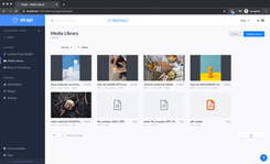 strapi_media-library.png